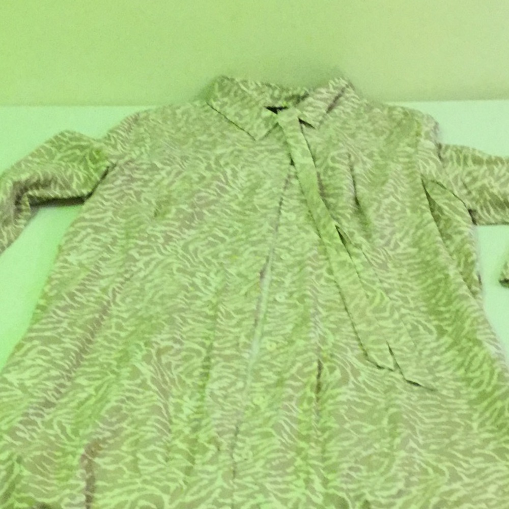Shirt dress